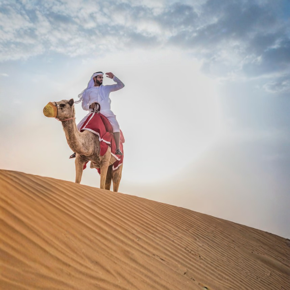 Abu Dhabi Desert Safari with BBQ, Camel Ride & Sandboarding