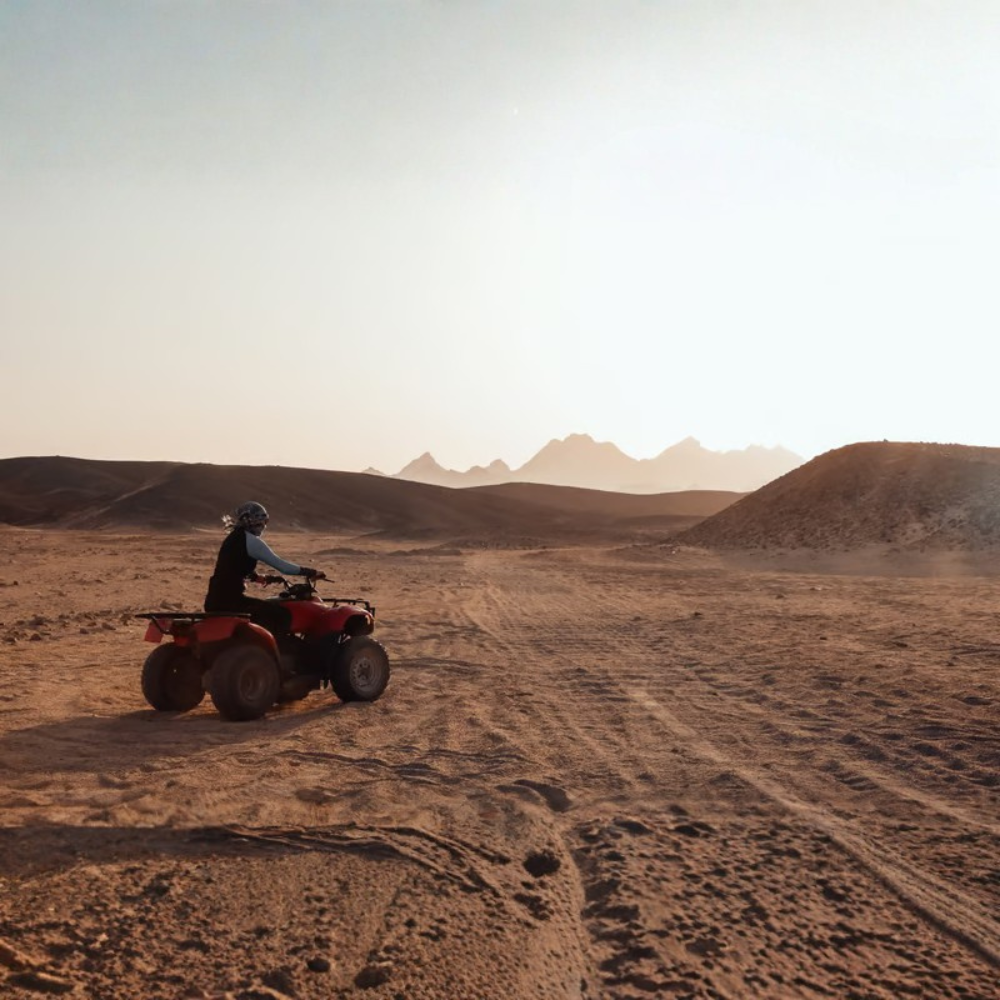Quad Bike Adventure: Safari Tour and BBQ Dinner