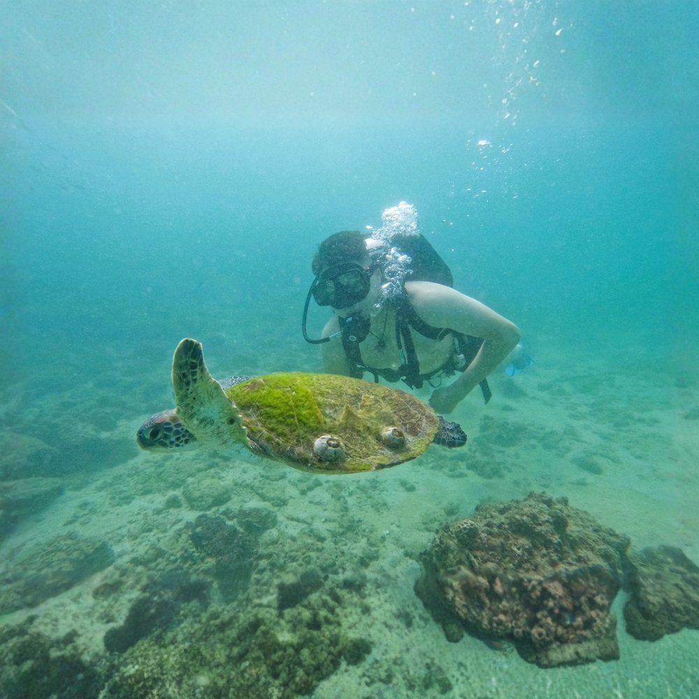 Scuba Diving & Snorkeling Adventure with BBQ