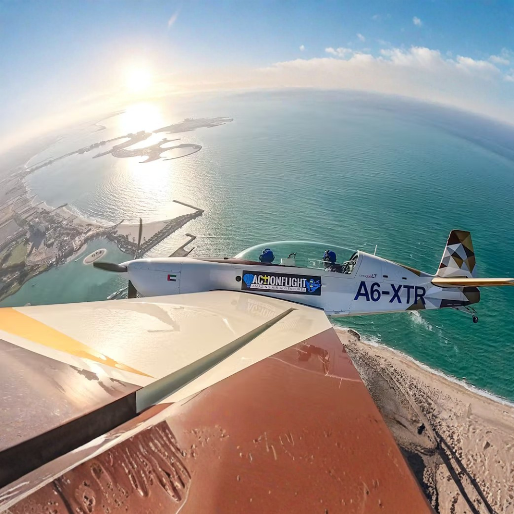 Solo ActionFlight: G-Force Aerobatic Experience