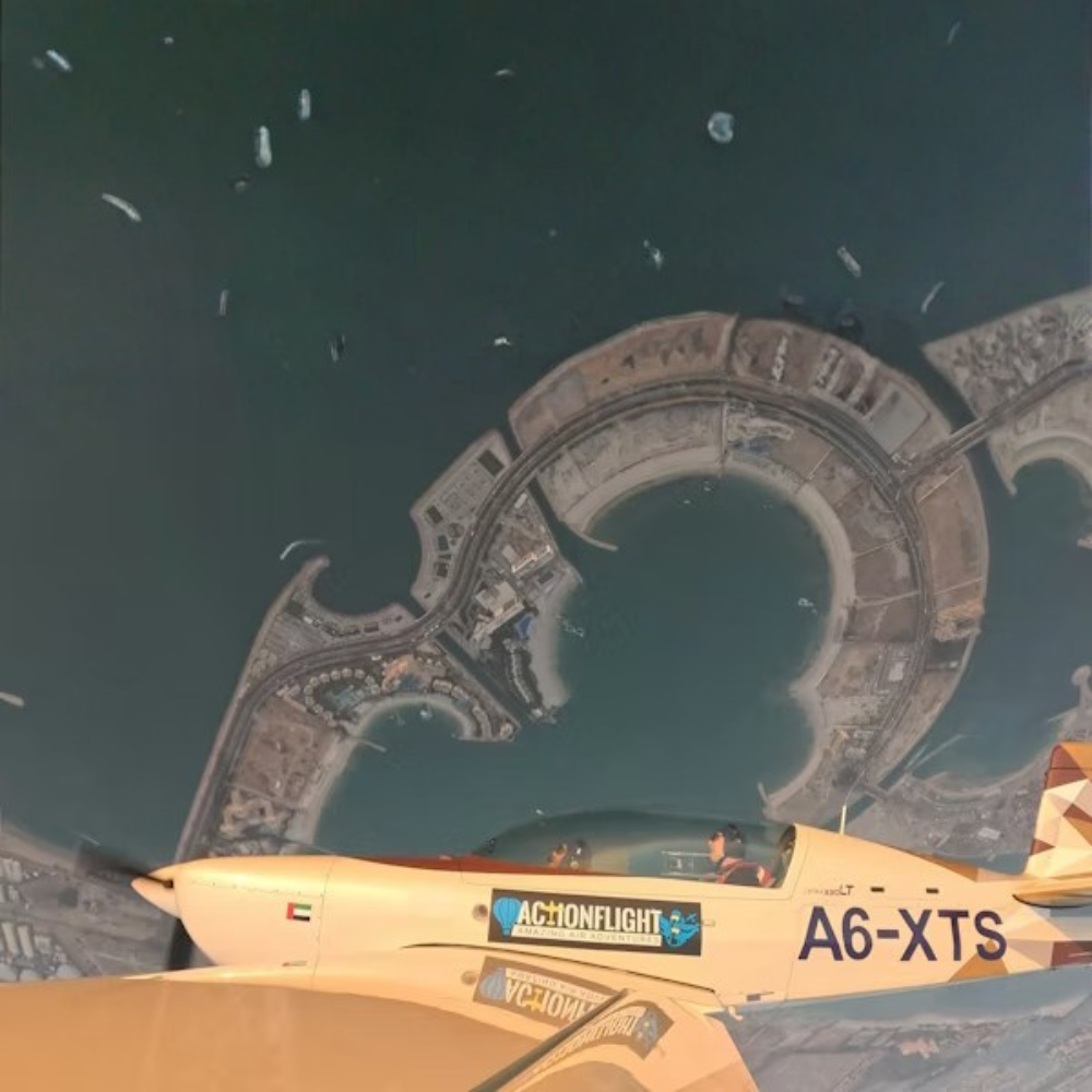 Solo ActionFlight: G-Force Aerobatic Experience