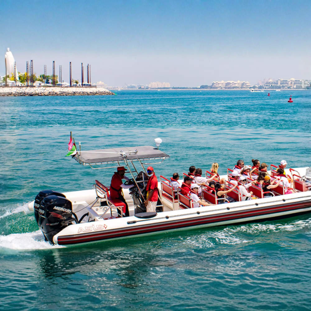 Speedboat Tour: Adrenaline Fun