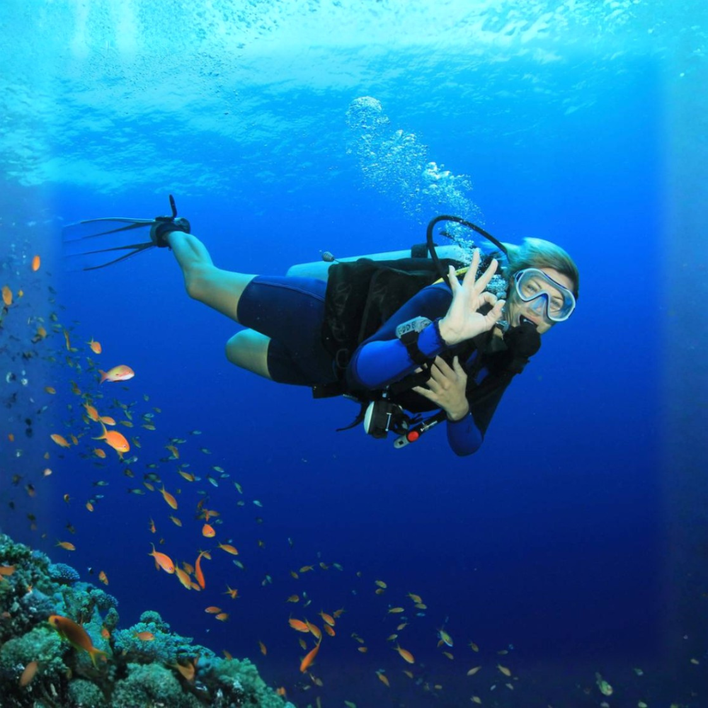 Try Scuba Diving: Beachside Exploration Tour