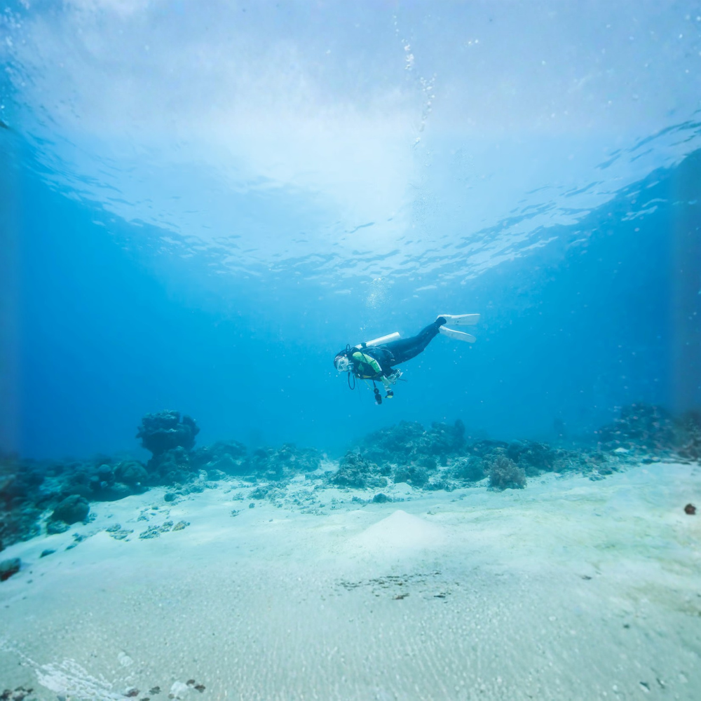 Try Scuba Diving: Beachside Exploration Tour