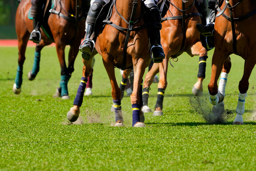 DUBAI WORLD CUP