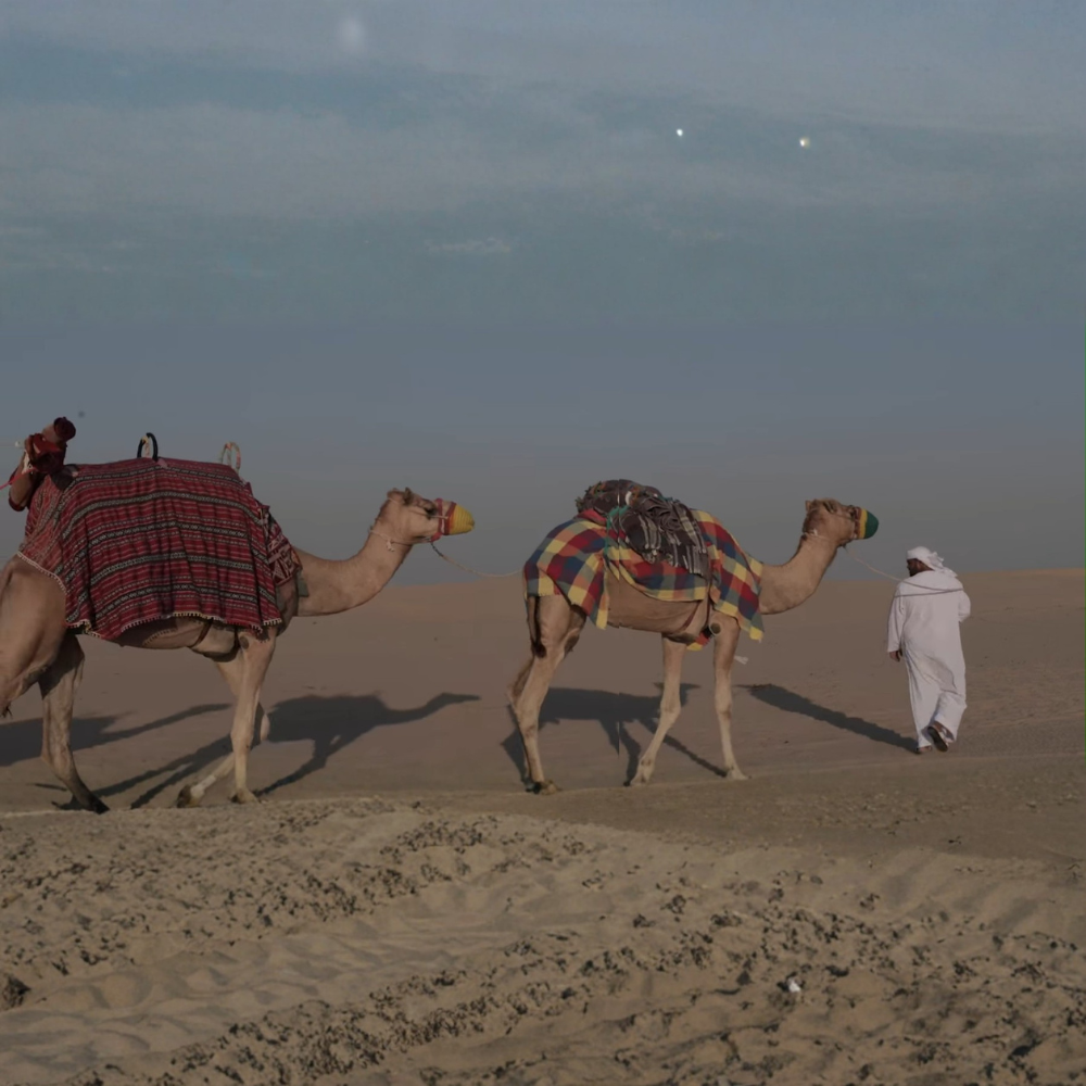 Vintage Heritage Safari with 6-Course Bedouin Dinner